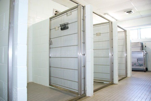 Hospital Cage — Nice Clea Cells in Mullica Hill, NJ