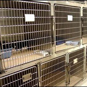 Pet Cages — Multiple Cage in Area in Mullica Hill, NJ