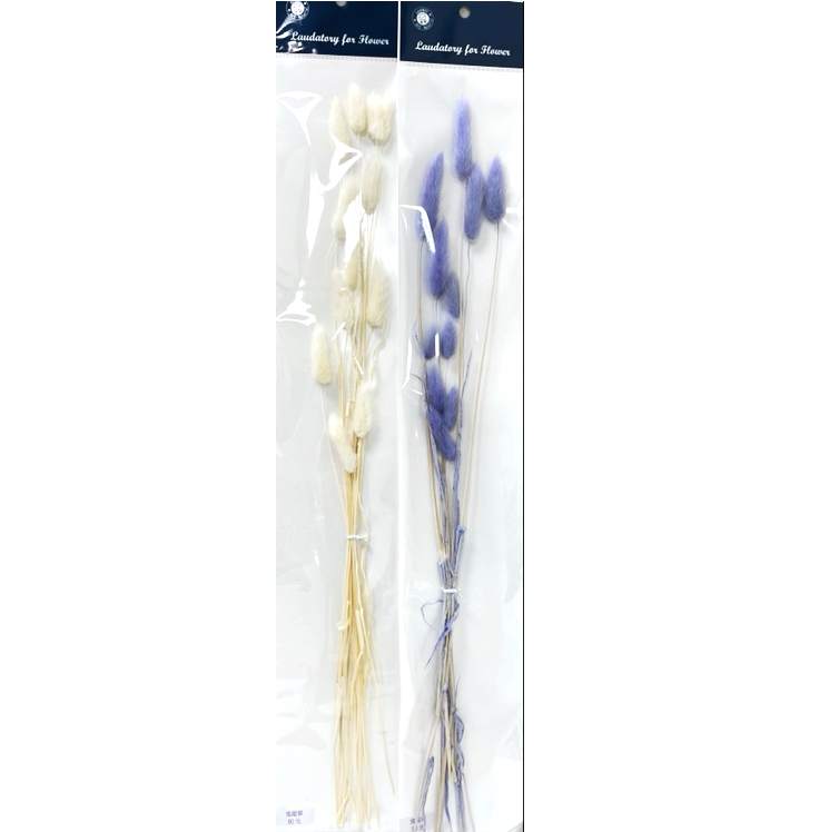 花束系列-兔尾草