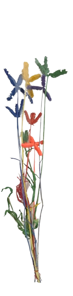 小花系列-星草