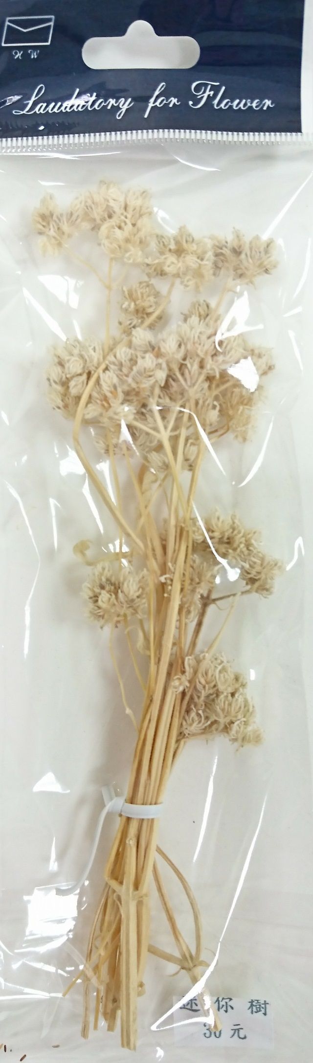 小包裝花束系列-迷你樹