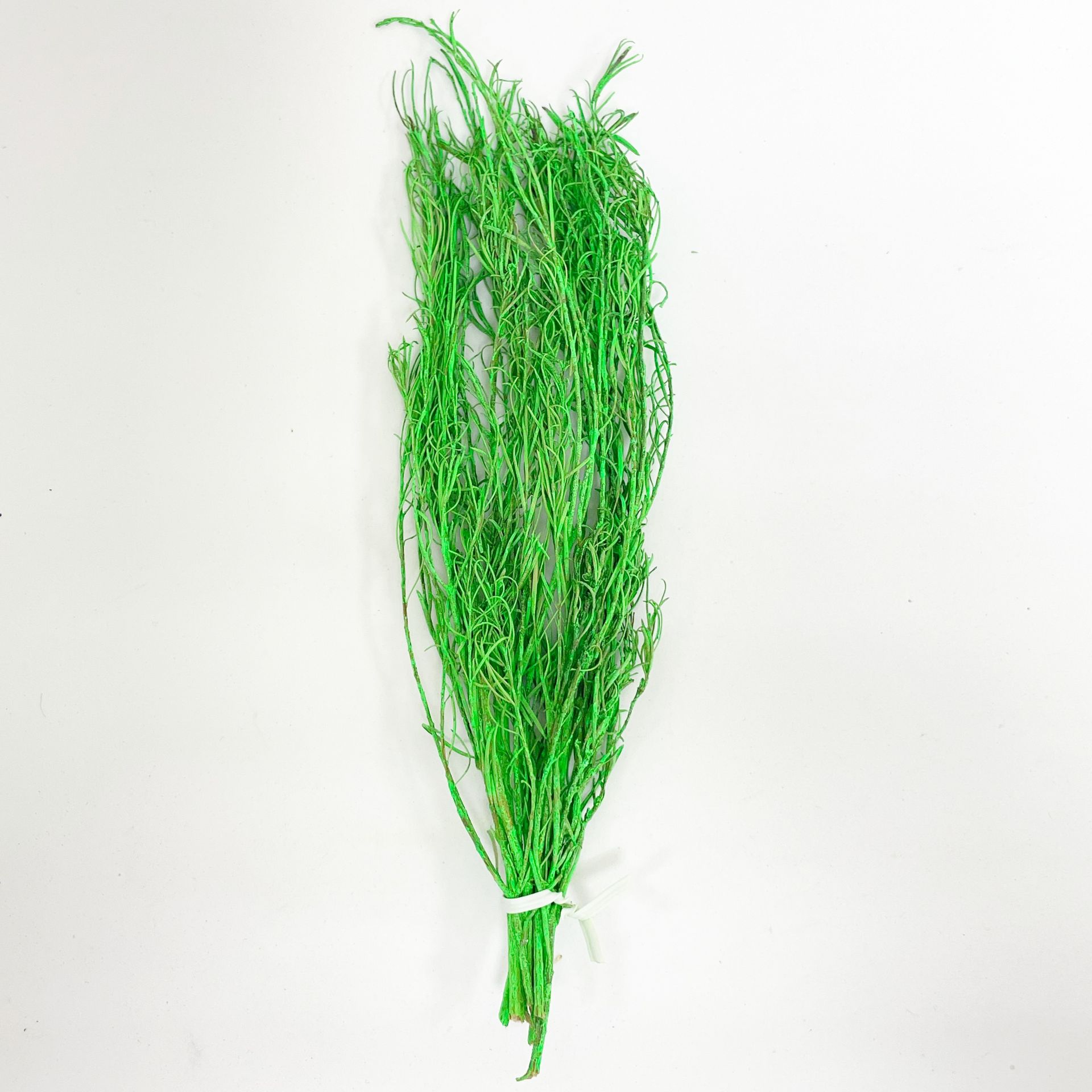 小花系列-小松樹