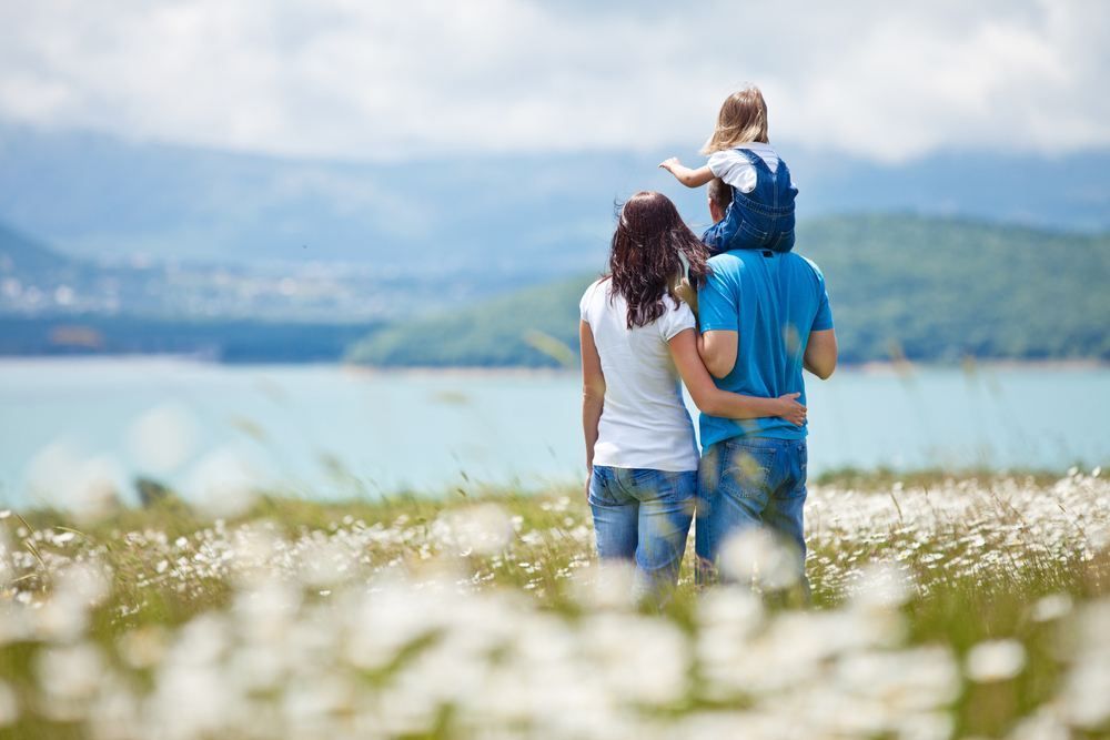 A Family is Standing in a Field of Flowers Looking at the Water — NH Legal In South Nowra, NSW