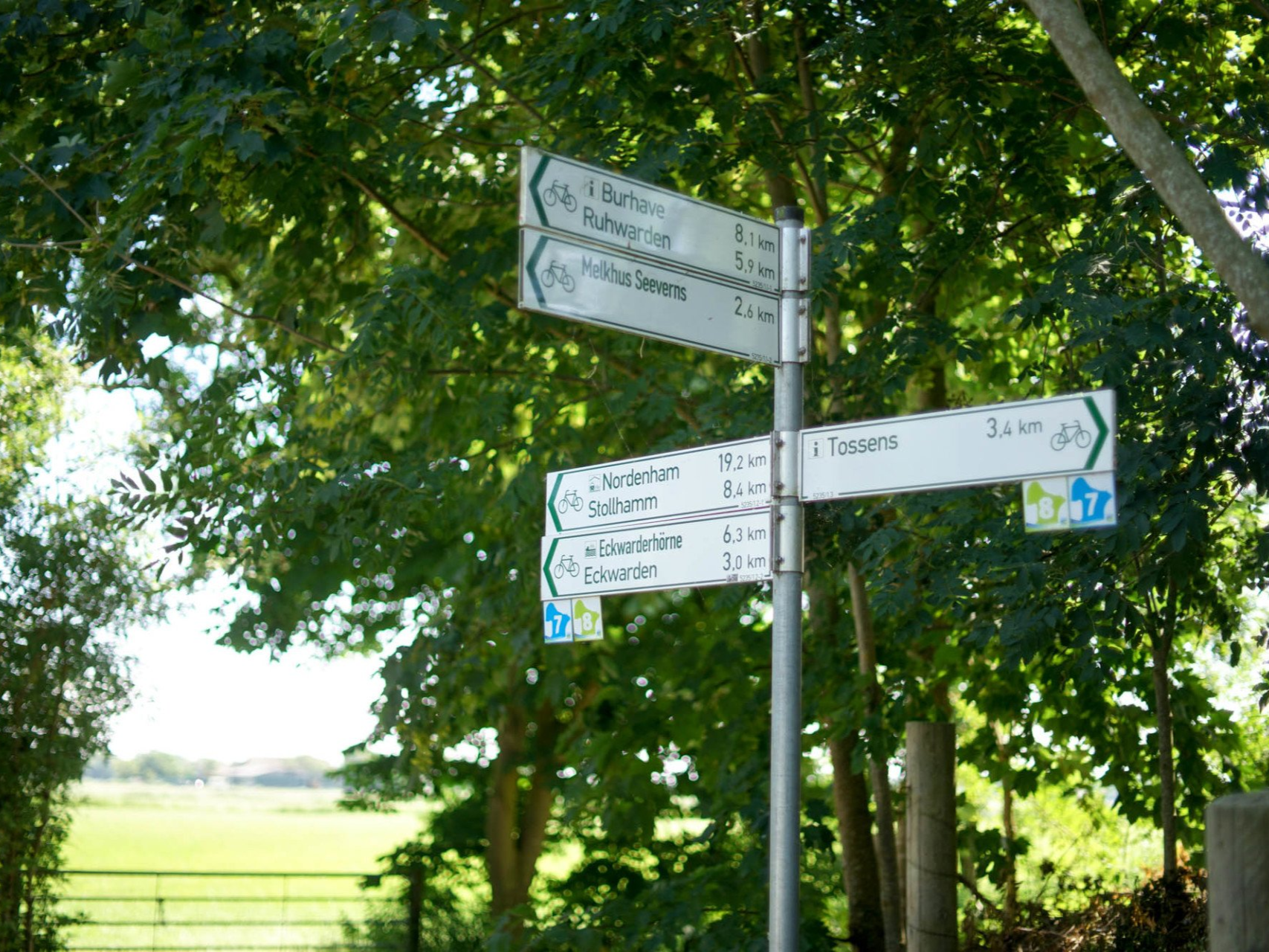 Gebratener Fisch mit Remoulade und einer Zitronenspalte.