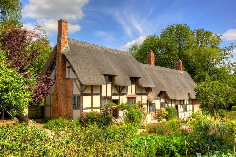 A house with a thatched roof is surrounded by trees and bushes