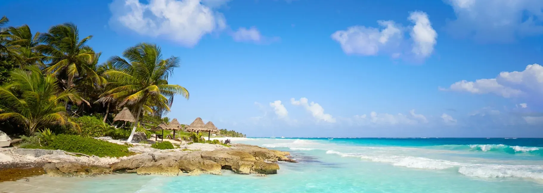 A tropical beach with palm trees and umbrellas on a sunny day.