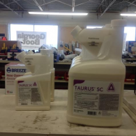 Two white plastic jugs of Taurus SC termite insecticide sit on a wooden shelf inside a retail store.