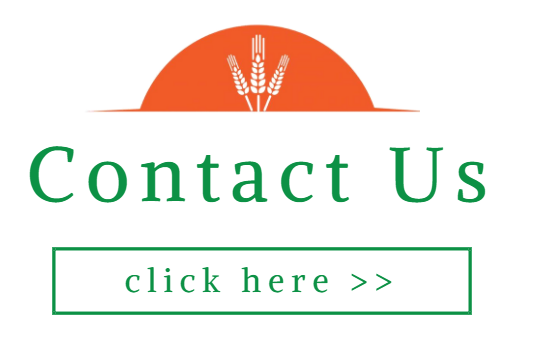 contact us click here