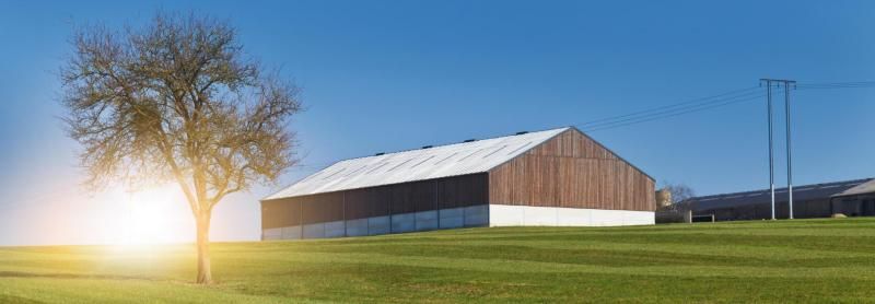 A large barn with a white roof and wooden walls stands in a green field next to a tree, illuminated by a bright sun.