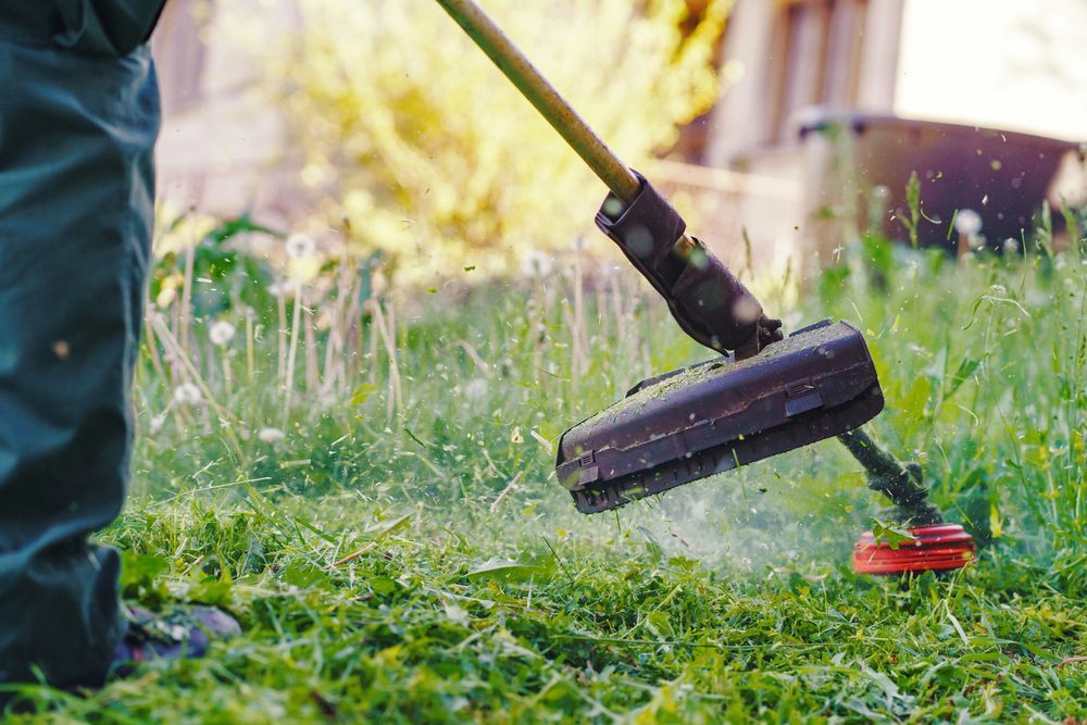 Una persona utilizza un decespugliatore a filo per tagliare l’erba in un giardino.