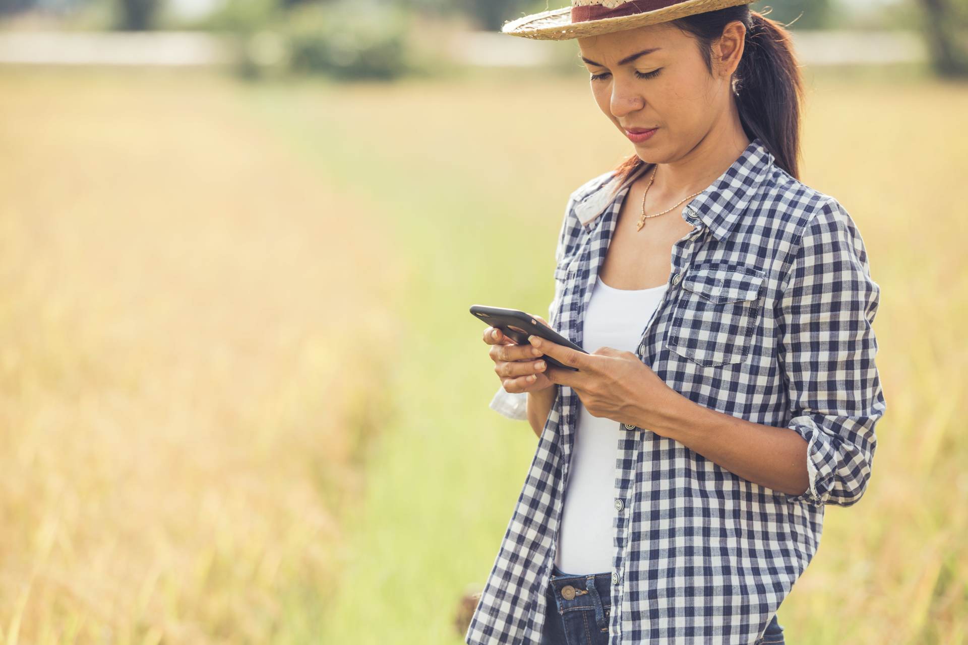 mulher mexendo no celular no campo