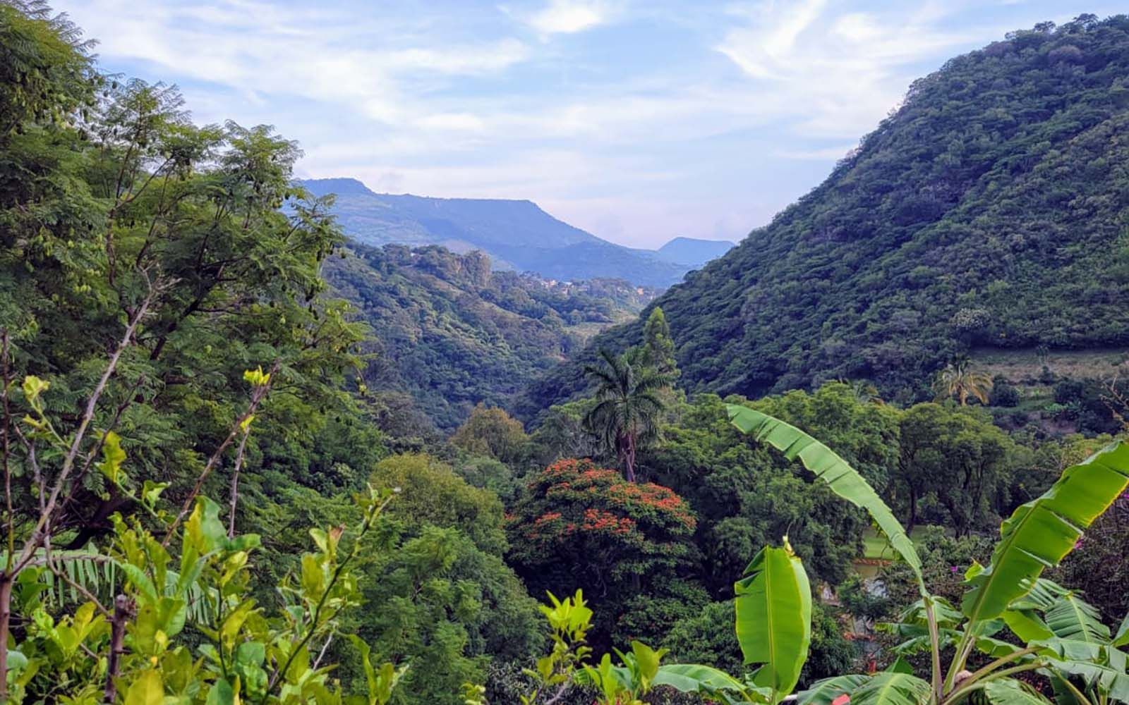 Una vista de un valle lleno de árboles y montañas al fondo.