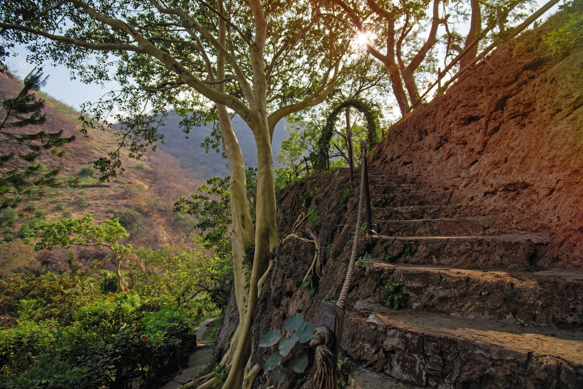Una escalera de piedra que sube una colina con un árbol al fondo.