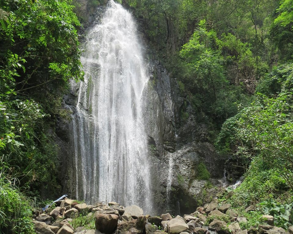 Una cascada está rodeada de árboles y rocas en medio de un bosque.
