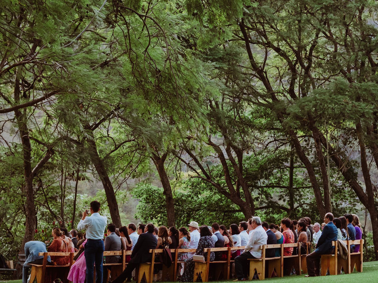 Un gran grupo de personas están sentadas en sillas en una ceremonia de boda en el bosque.