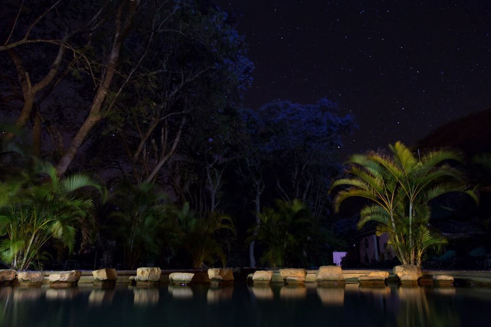 Una piscina iluminada por la noche con palmeras al fondo.