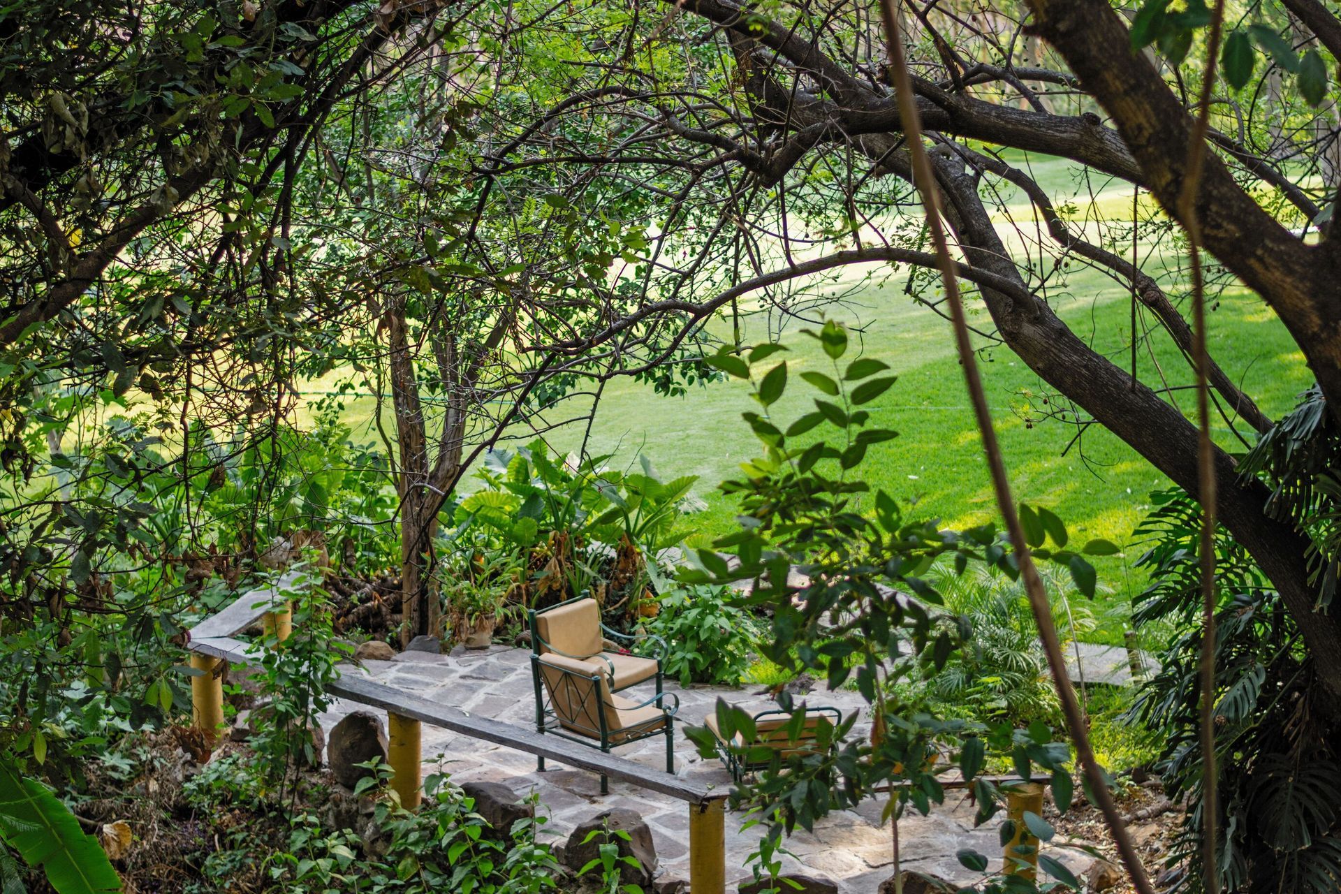 Una silla está sentada en un banco en medio de un bosque.