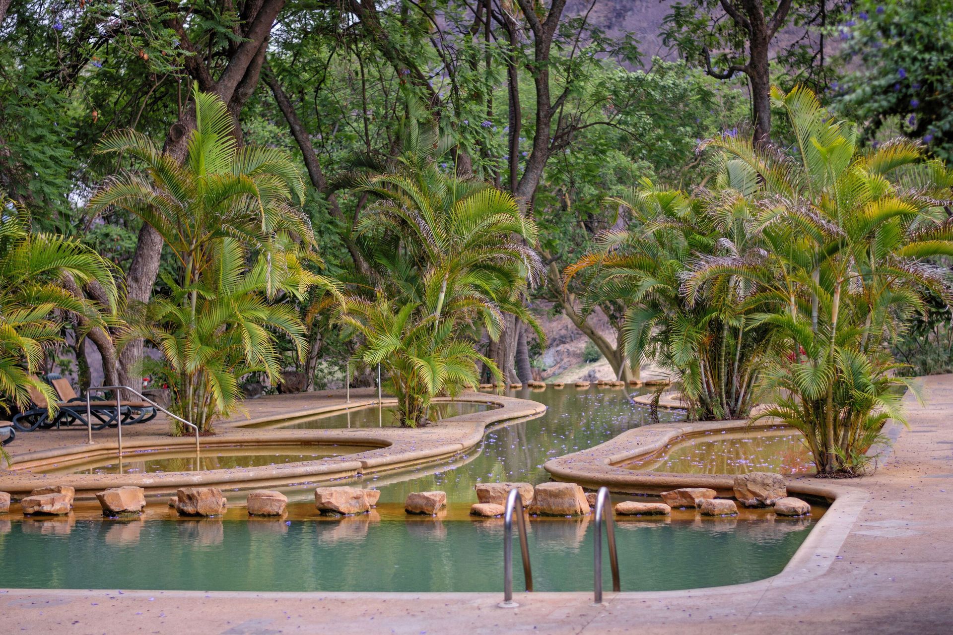 Una gran piscina rodeada de árboles y rocas en un exuberante bosque verde.