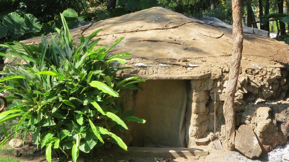 Una pequeña cabaña con un árbol delante en el bosque.