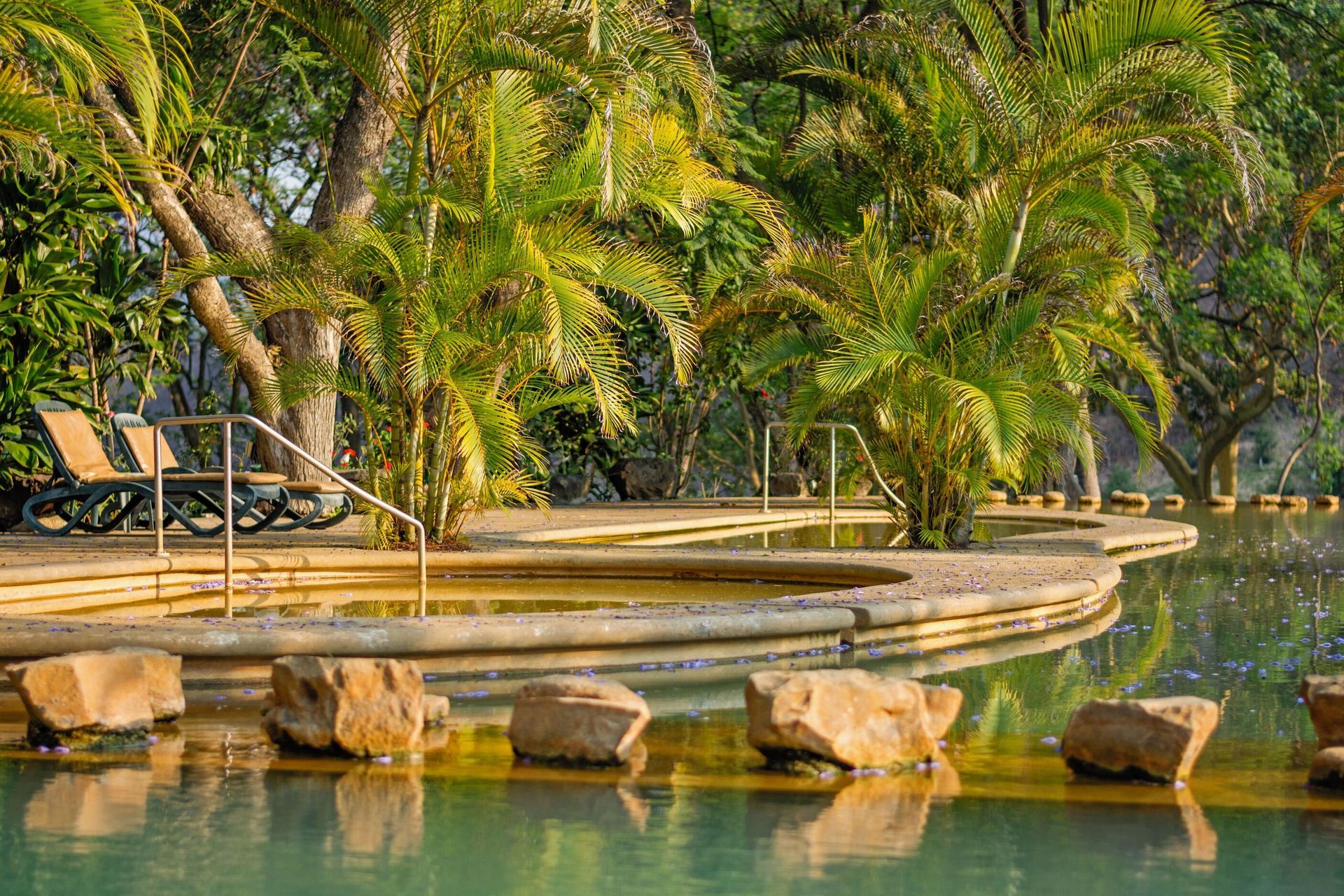 Una gran piscina rodeada de palmeras y rocas.