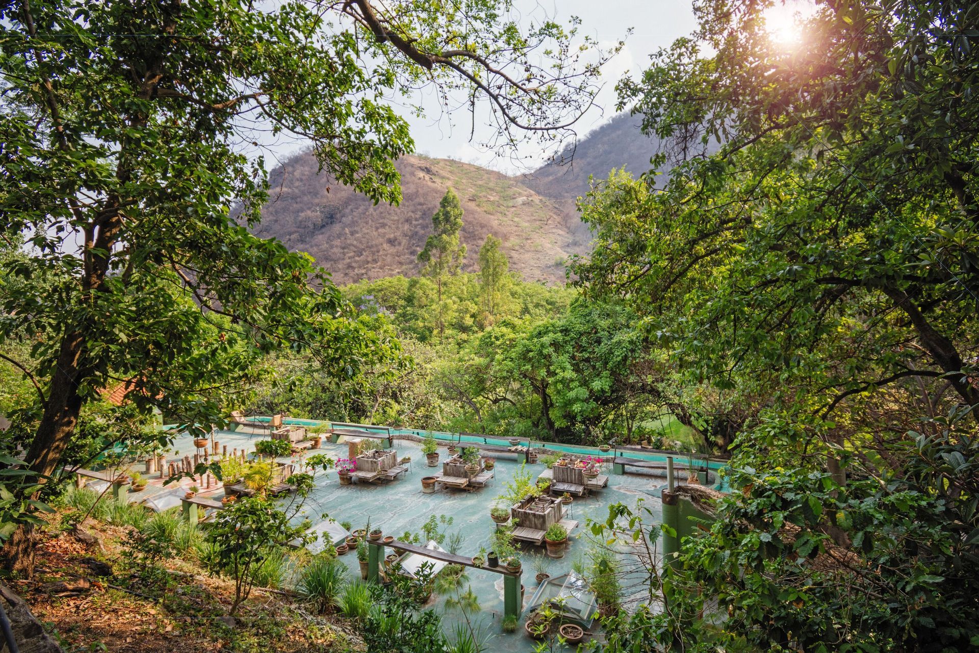 El sol brilla a través de los árboles y las montañas del fondo.