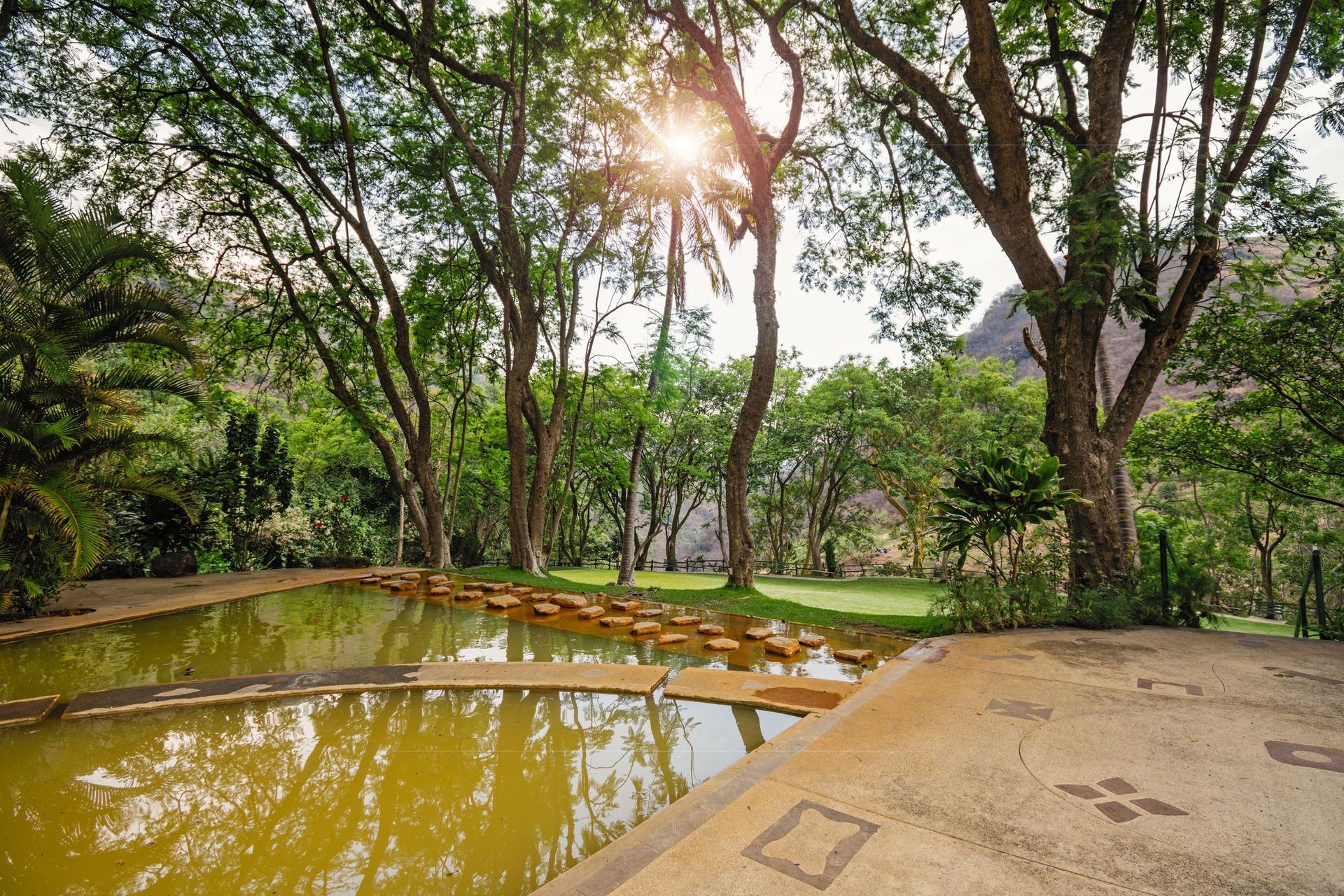 Una piscina rodeada de árboles en un parque con el sol brillando a través de los árboles.