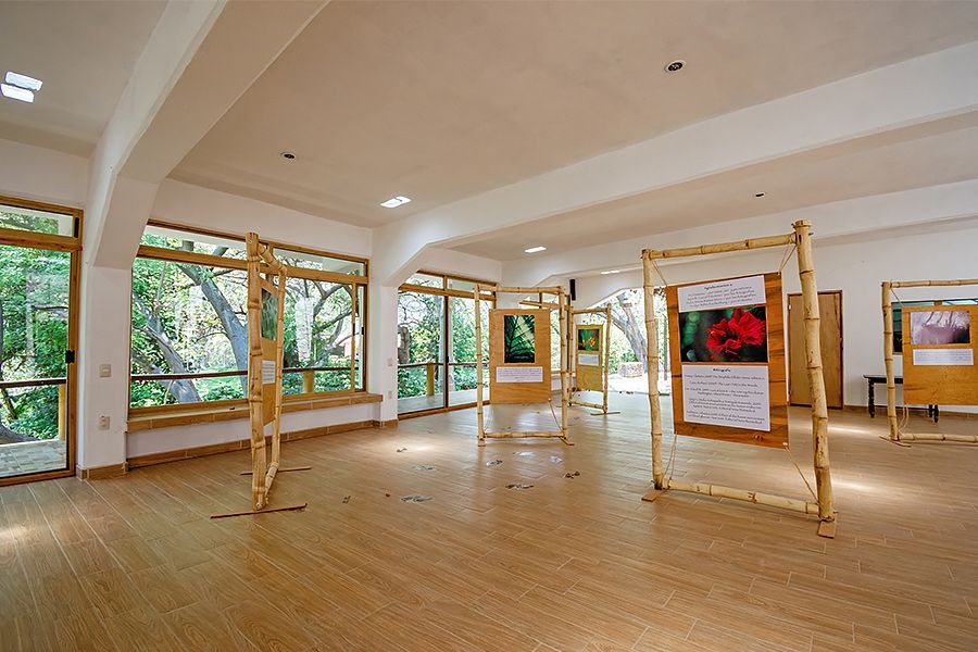Una habitación grande con muchas ventanas y carteles en la pared.
