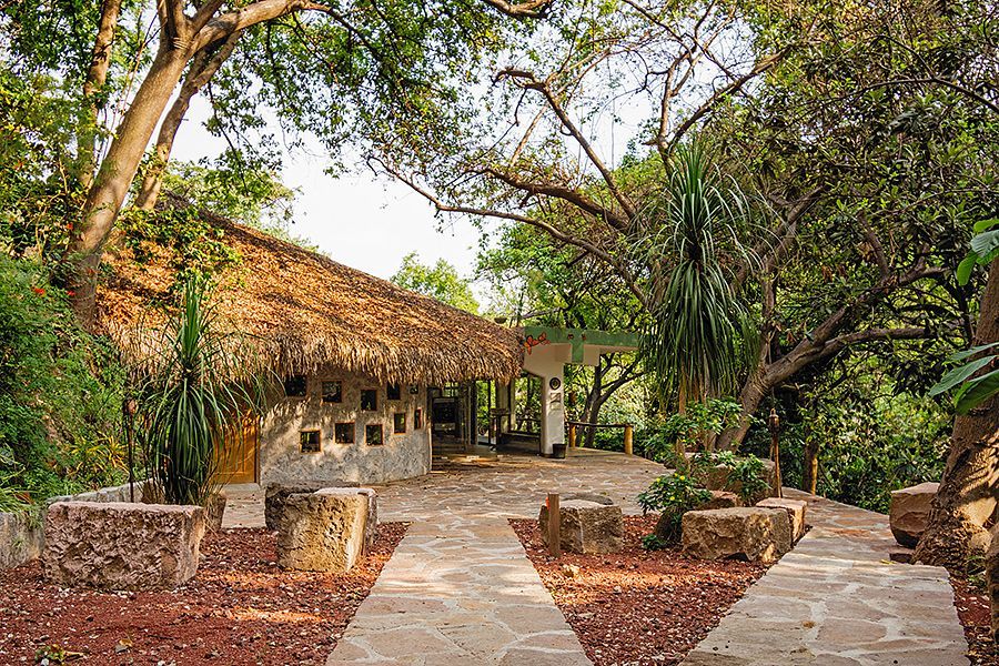 Una casa con techo de paja está rodeada de árboles y un camino de piedra.