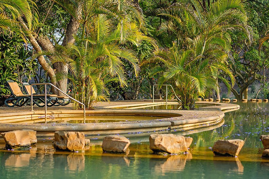 Una gran piscina rodeada de palmeras y rocas.