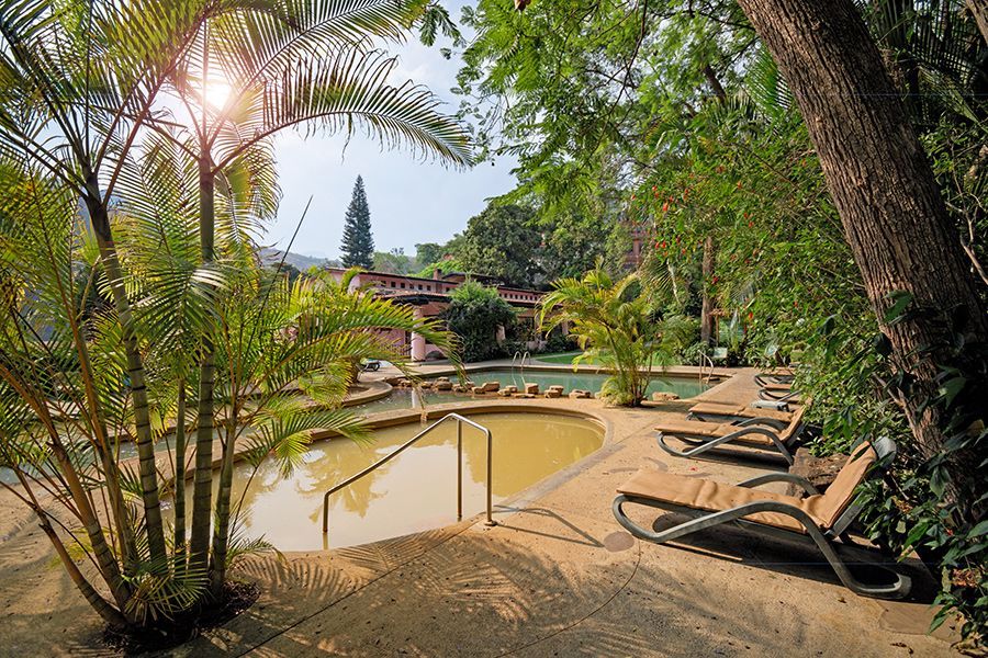Una piscina rodeada de árboles y sillas en un exuberante bosque verde.