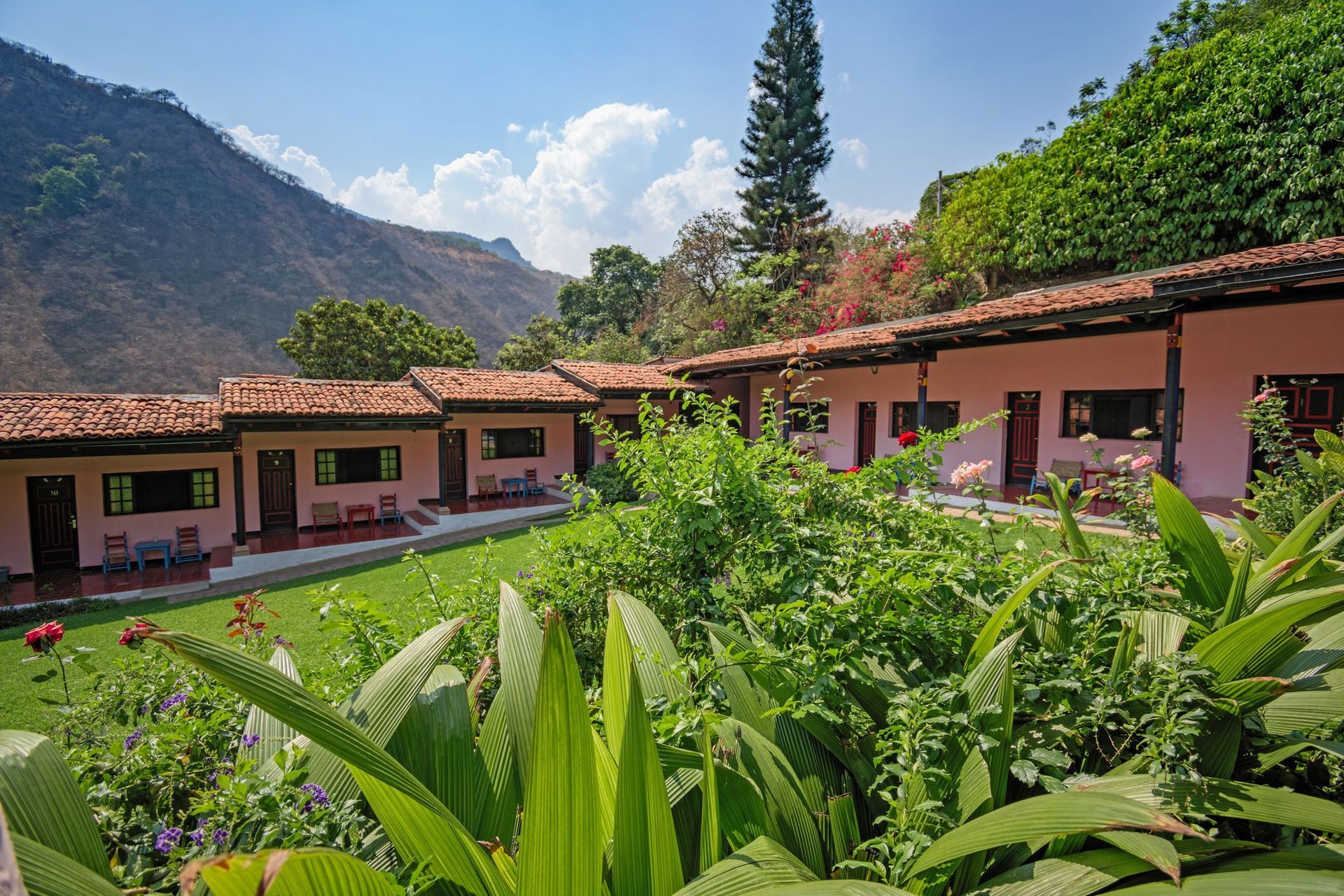 Una hilera de casas con una montaña al fondo