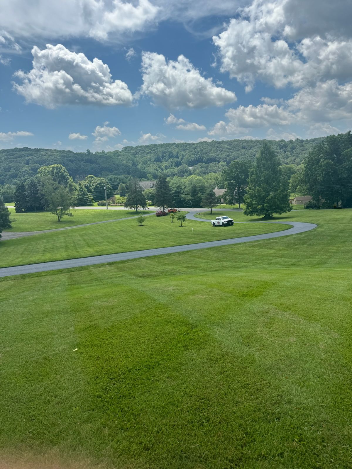 A large grassy field with a path going through it