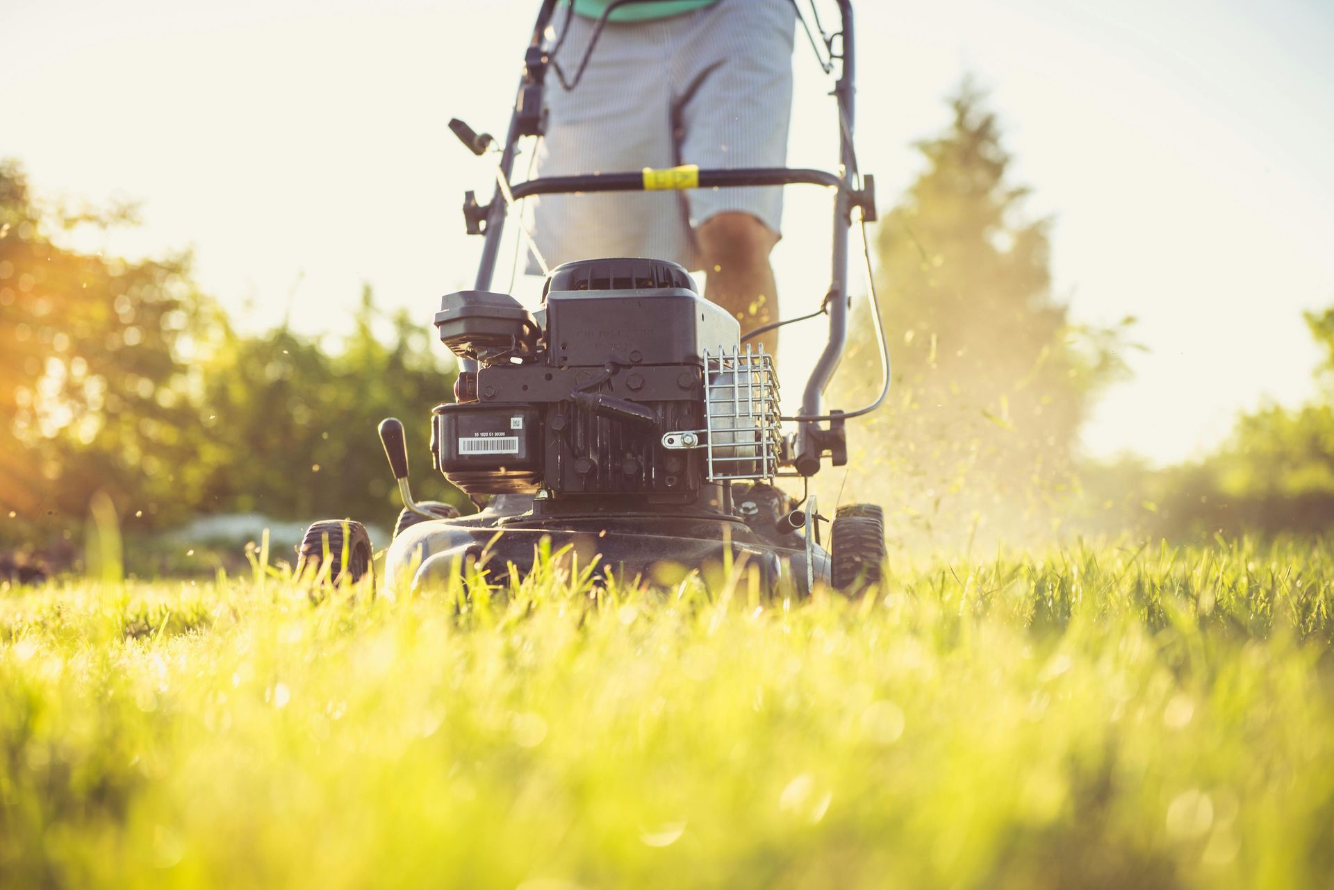 Person pushing a lawn mower through sunlit grass in a yard
