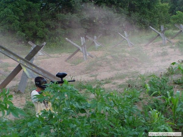 Motocross rider on a dirt track kicking up dust, seen through green foliage and trees