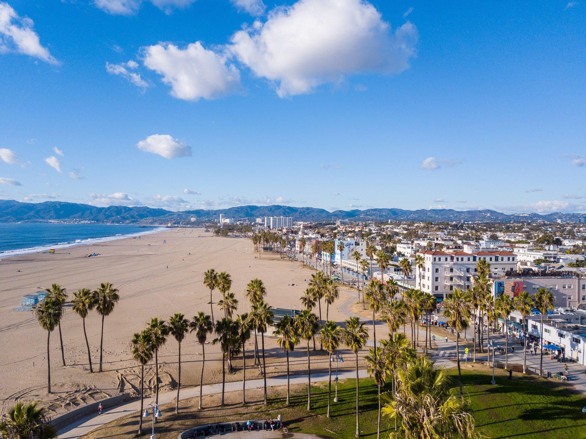 An aerial view of a beach with palm trees and buildings.