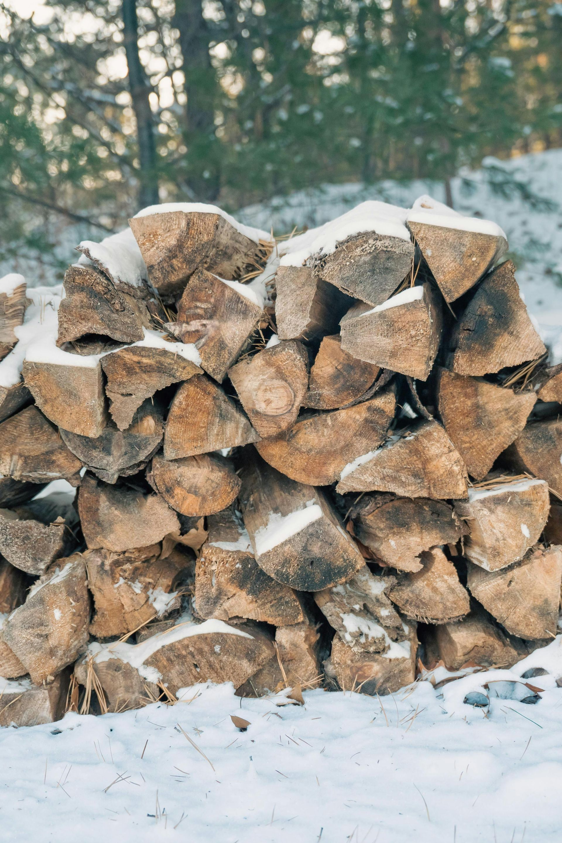 A stack of chopped, snow-dusted firewood sits outdoors in a wooded Big Bear