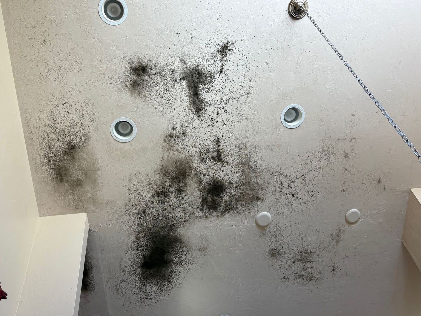 Mold growth on a white ceiling with recessed lights.