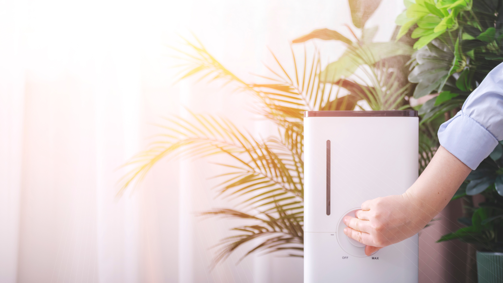 Person adjusting a humidifier next to leafy green plants, lit by sunlight.