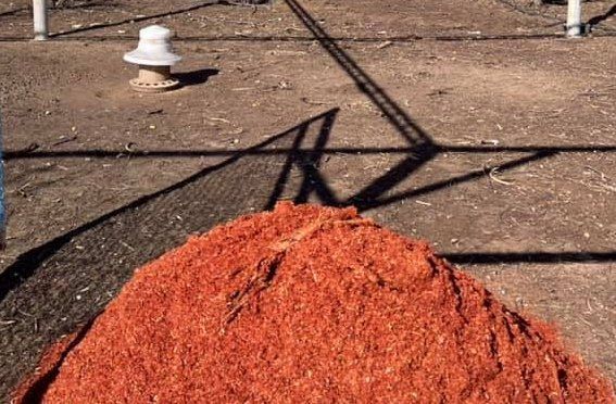 A lot of red bricks | Northam, WA | Lloyd’s Earthmoving