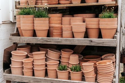 A lot of plant pots | Northam, WA | Lloyd’s Earthmoving