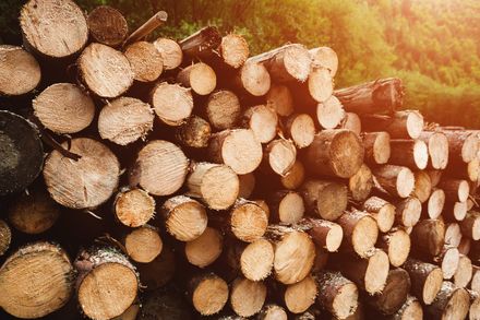 Firewood cut | Northam, WA | Lloyd’s Earthmoving