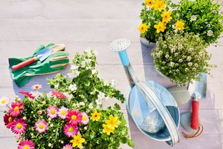 A garden plant and tools | Northam, WA | Lloyd’s Earthmoving