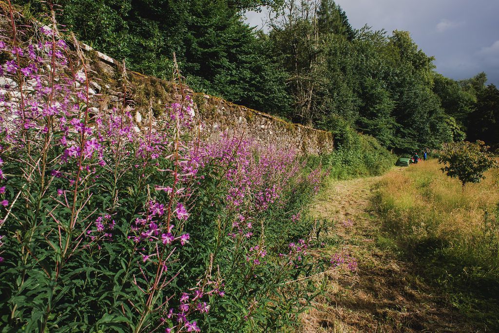 ardkinglas estate walled garden