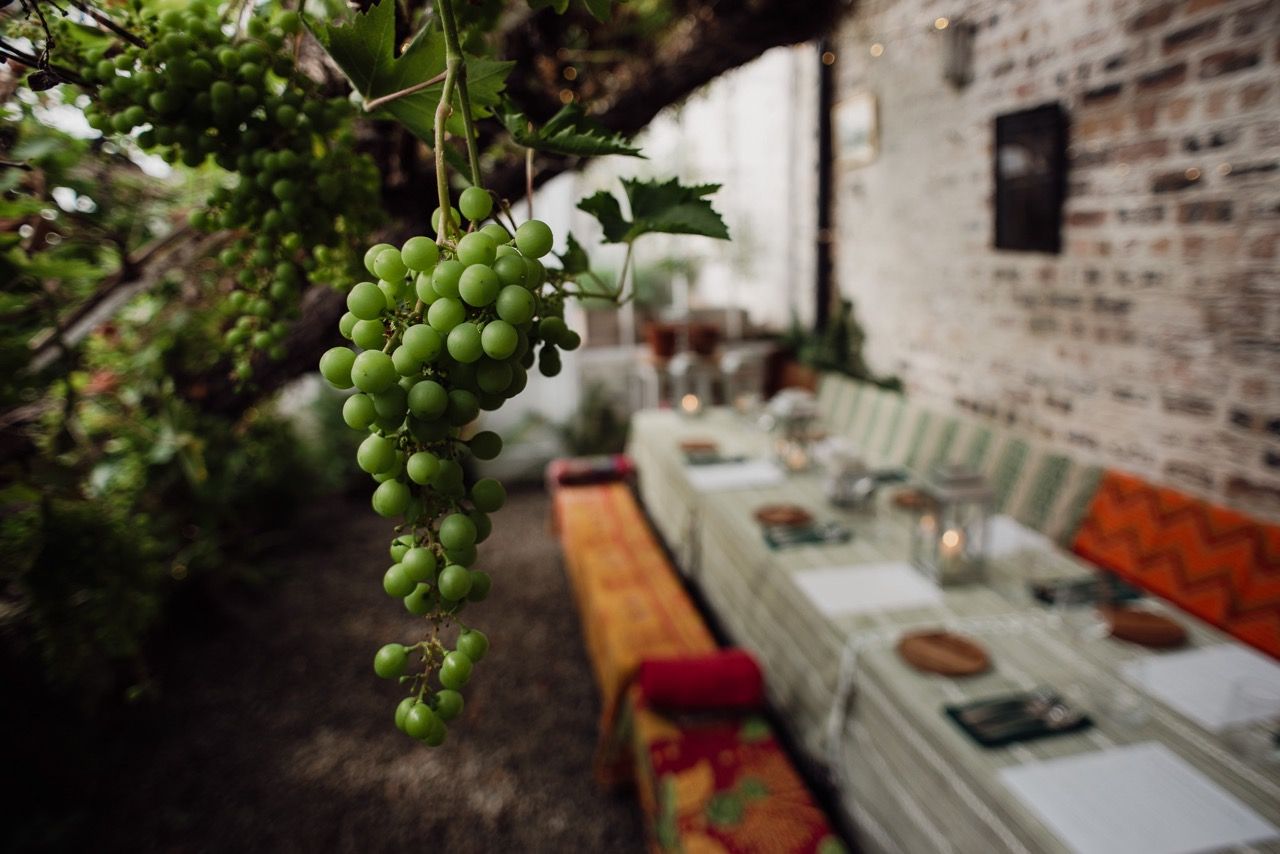 A grape hanging from a vine in a greenhouse.