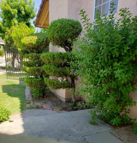 Landscaper near me