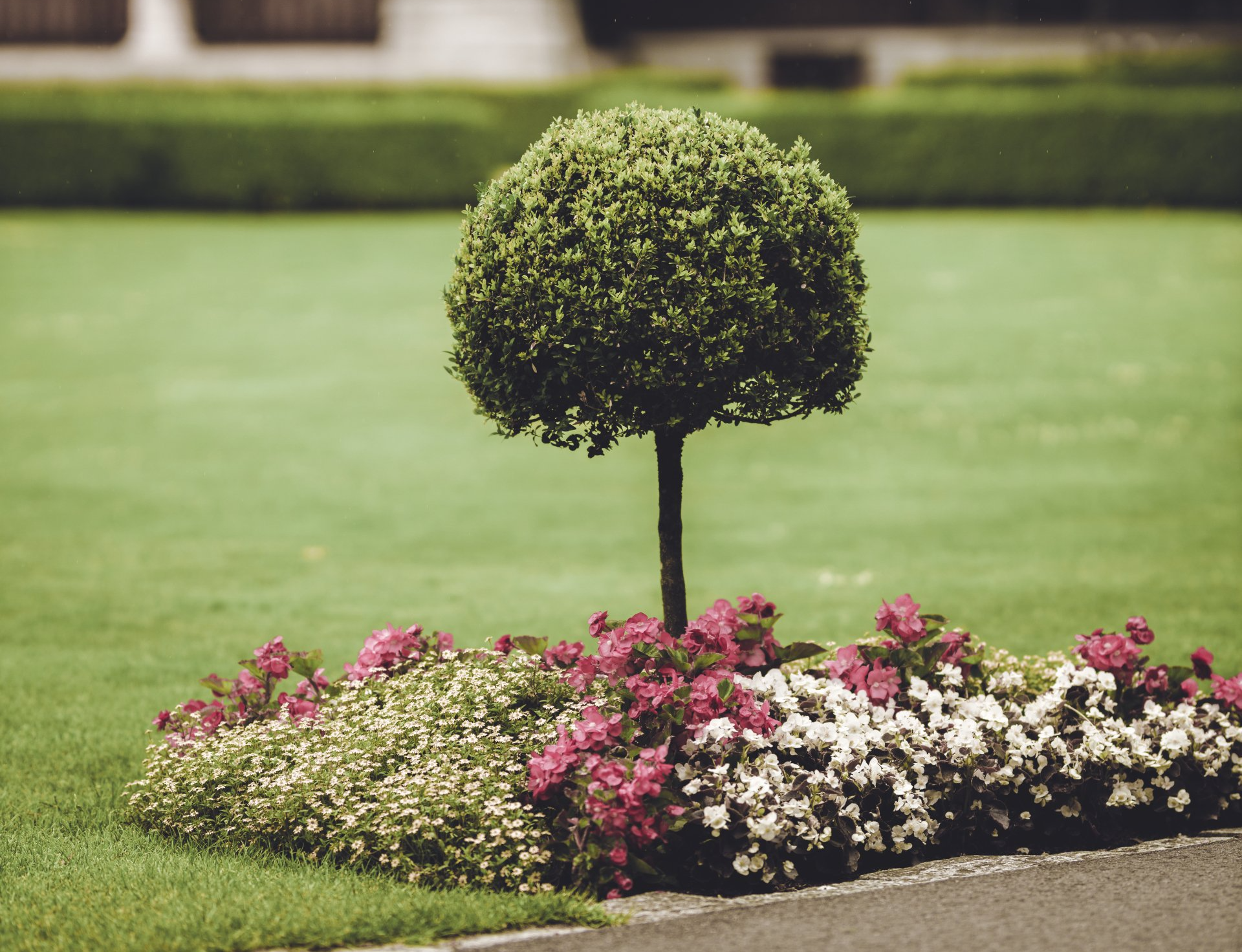 Fence Company Near Me