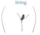 Sugaring String – Beauty Lounge Tre Arte