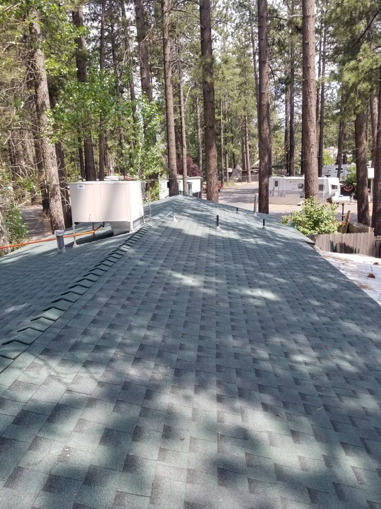 A green roof with a lot of trees in the background.
