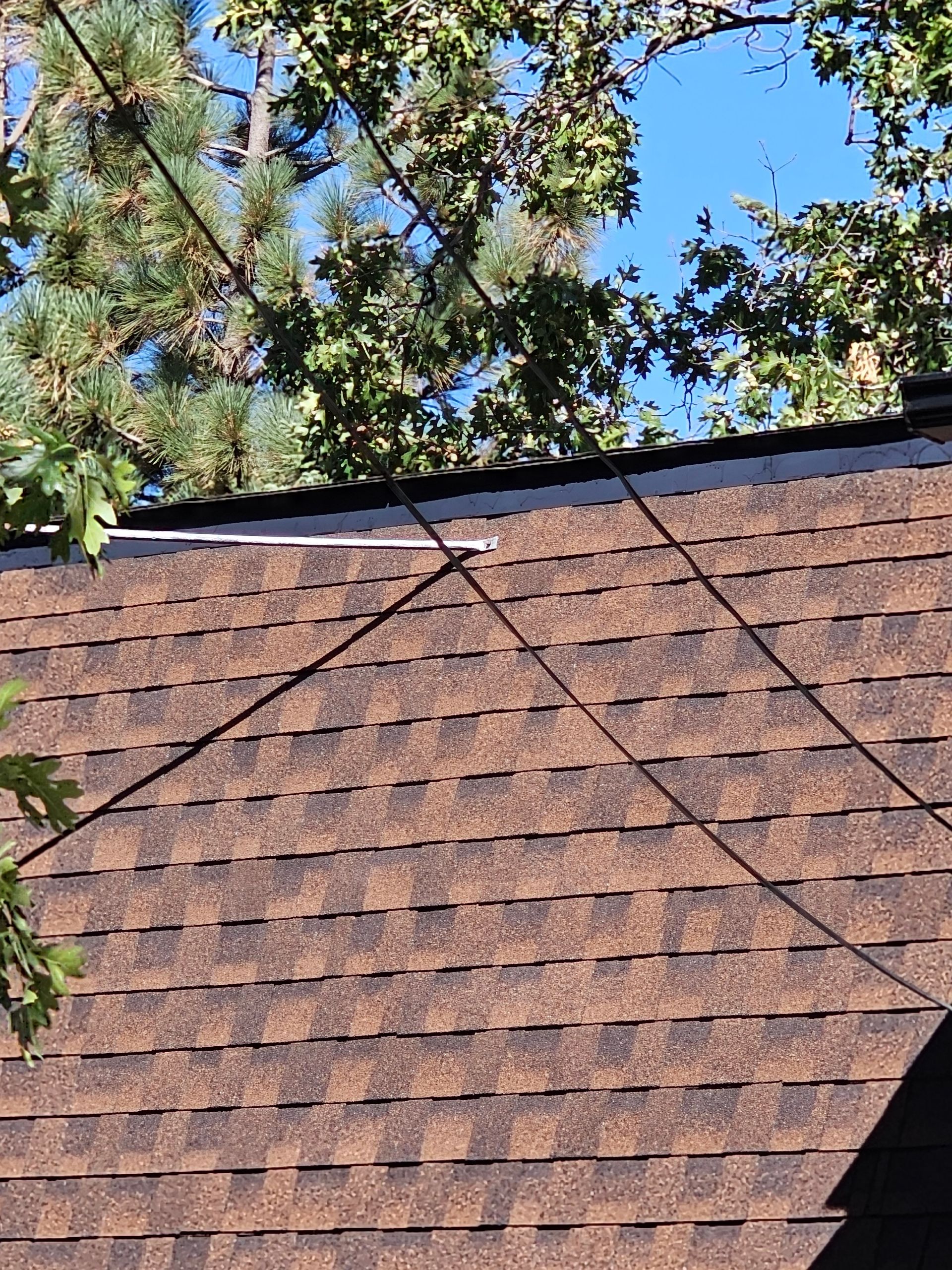 A close up of a roof with trees in the background