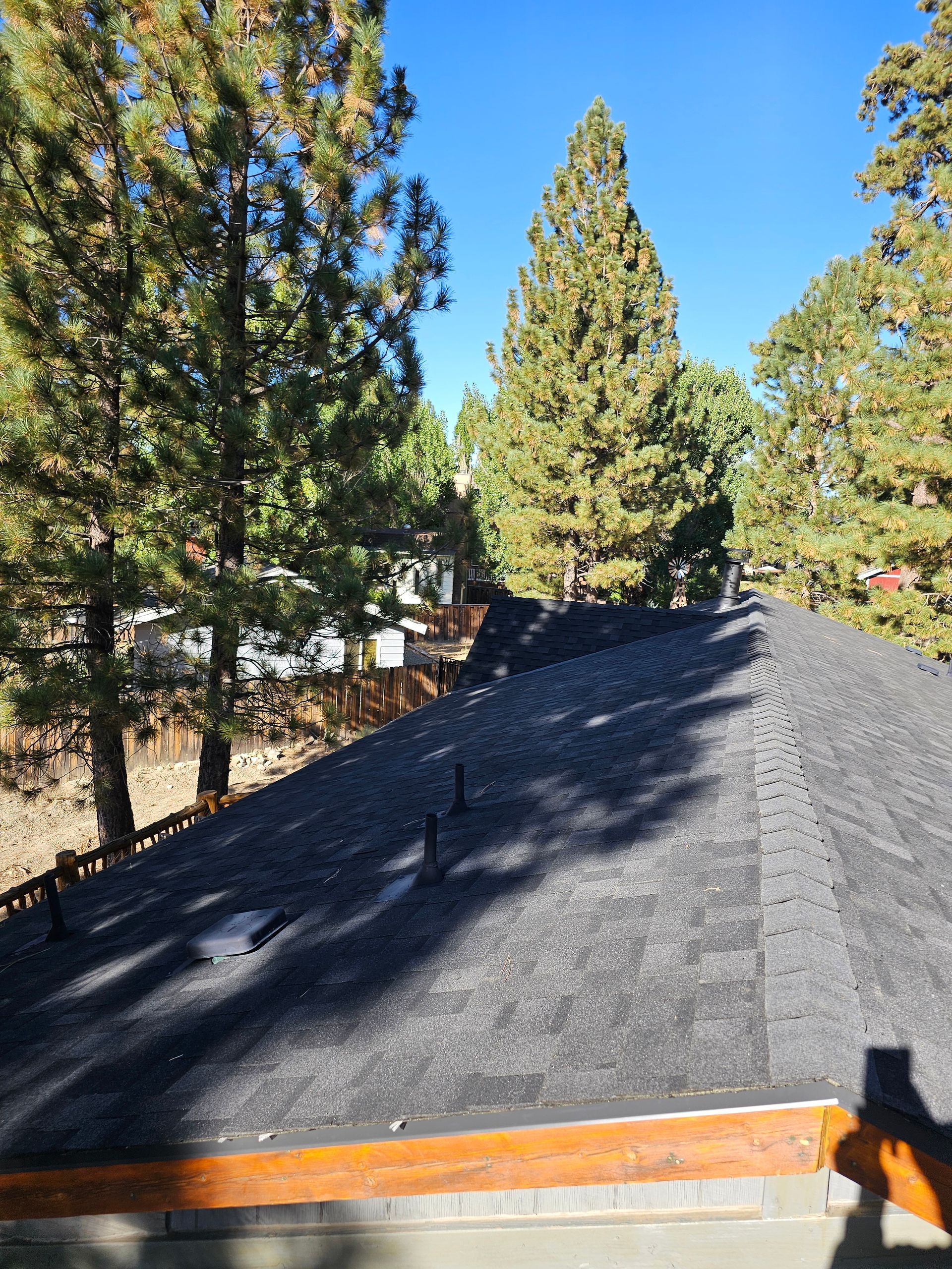 A roof with a lot of trees in the background